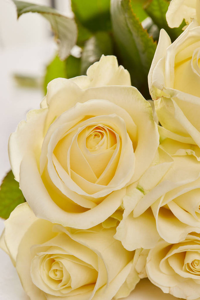  photo of a yellow rose - Foto, imagen
