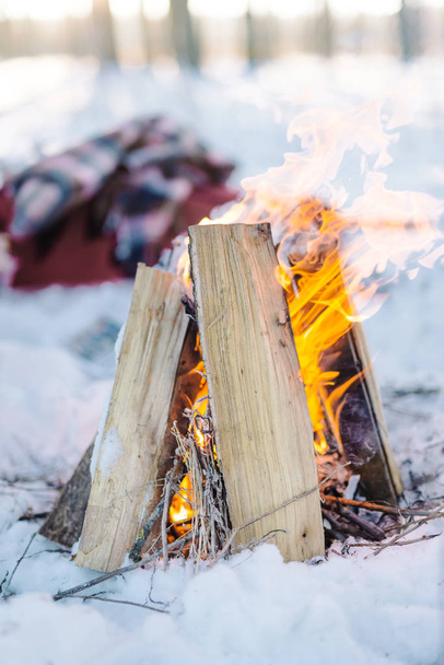 Burning firewood at campfire - Foto, Imagen