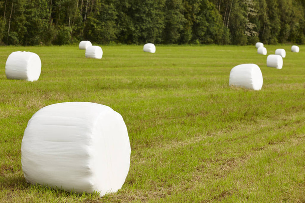 Свіжа трава упаковані в сільській місцевості. Норвезька краєвид. Agri - Фото, зображення
