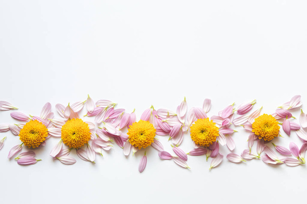 Floral Decoration On White Background - Foto, imagen