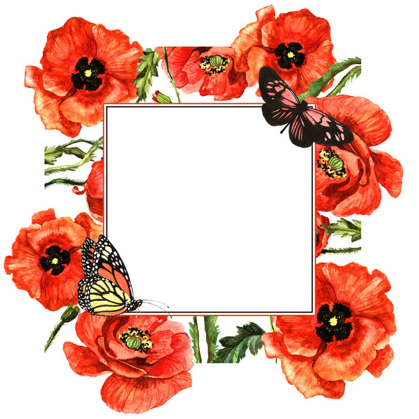 Wildflower poppy flower frame in a watercolor style isolated. - Фото, зображення