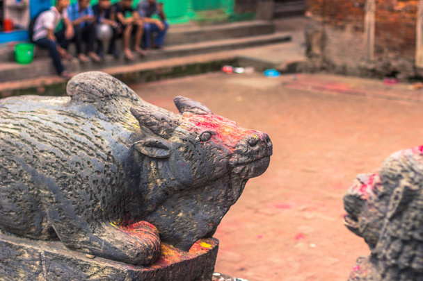 2014 年 8 月 18 日 - ネパール、パタン市の牛の像 - 写真・画像