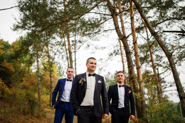 Groom with best mans on bow tie at autumn pine wood. - 写真・画像