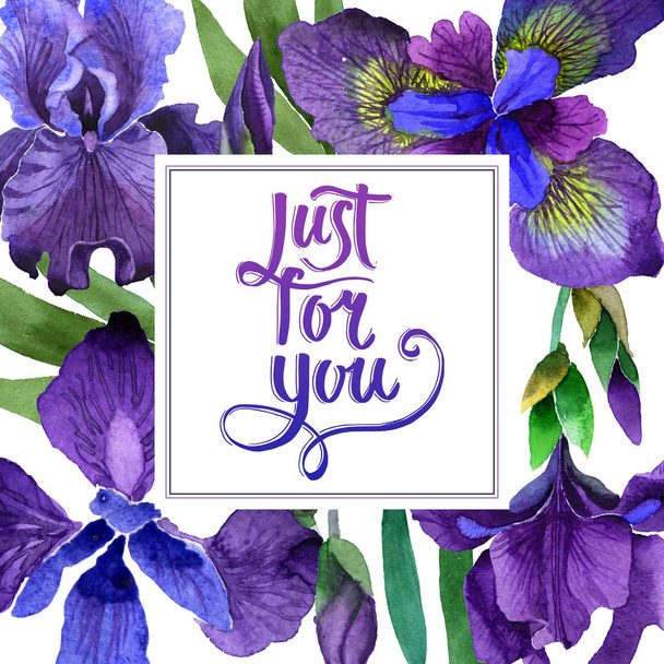 Wildflower iris flower frame in a watercolor style isolated. - Photo, Image