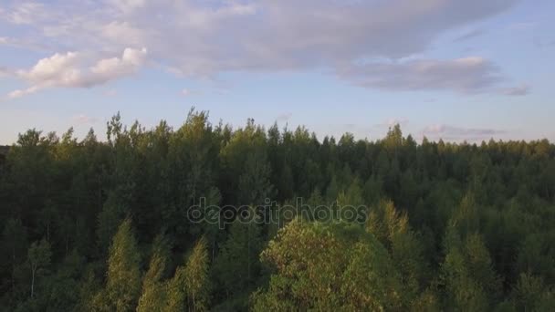 Aerial rural scene at sunset, Russia - Video