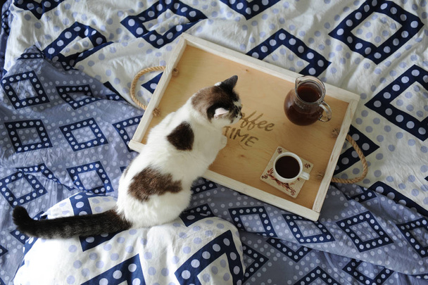 Frühstück im Bett. Kanne und eine Tasse Kaffee auf einem hölzernen Tablett handgefertigt. weiße Katze auf blauem Leinen - Foto, Bild