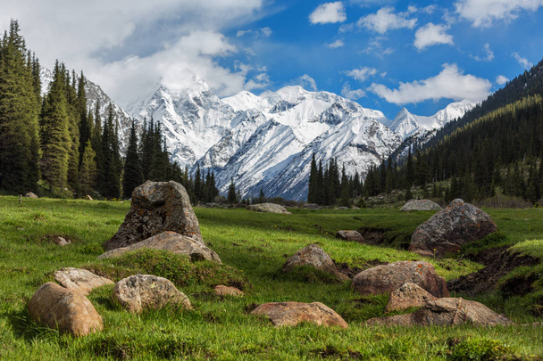 Krajobraz z górami, Kirgistan - Zdjęcie, obraz