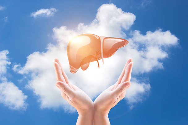 Support a healthy liver. - Фото, зображення