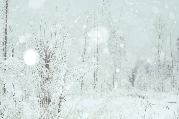 Winter landscape in Russia - Foto, immagini