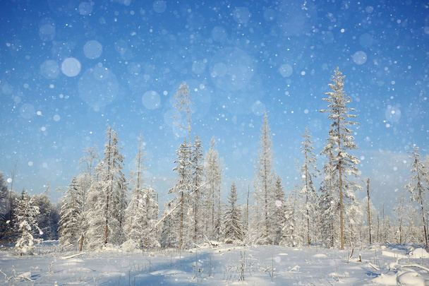 Zimní krajina s sněhové vločky - Fotografie, Obrázek