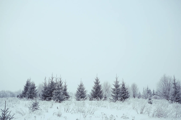 snowy winter landscape - Zdjęcie, obraz