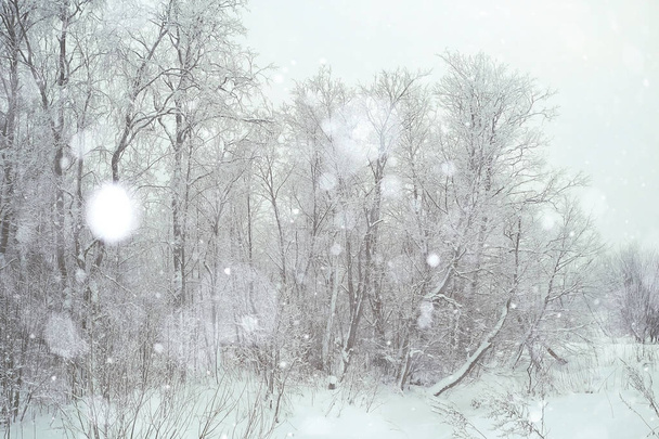 snowy winter landscape - Foto, Imagem