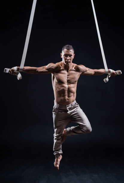 circus artist on the aerial straps man - Foto, Bild