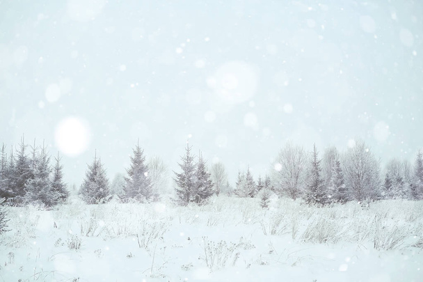 сніг в зимовому пейзажі
 - Фото, зображення