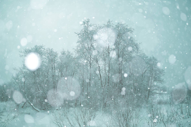 snowy winter landscape - Valokuva, kuva