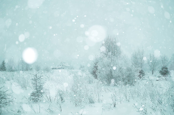 bosque de invierno esmerilado
   - Foto, imagen