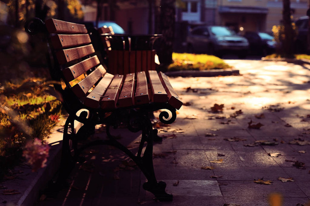 bench in autumn park - Photo, image