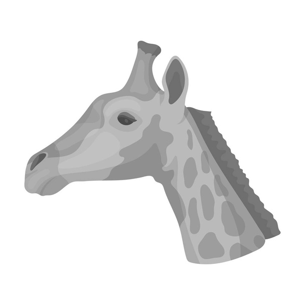 Giraffe icon in monochrome style isolated on white background. Realistic animals symbol stock vector illustration. - Vector, Image
