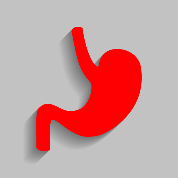 Anatomía humana Estómago. Vector. Icono rojo con sombra suave sobre fondo gris
. - Vector, Imagen