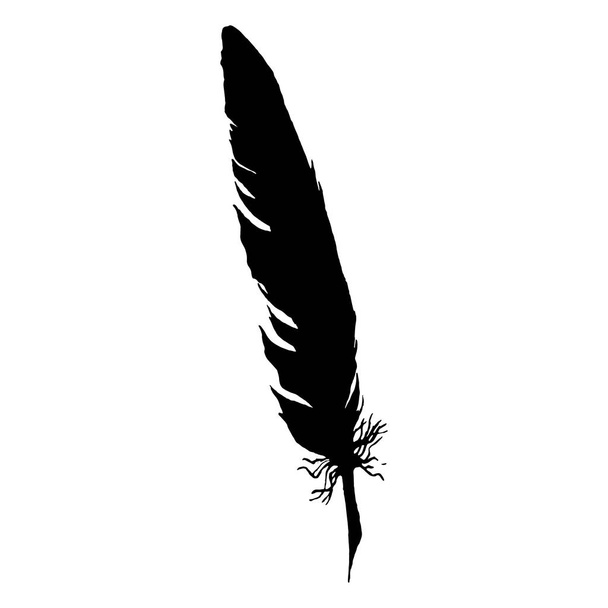 Silhouette black and white monochrome feather isolated vector - Διάνυσμα, εικόνα