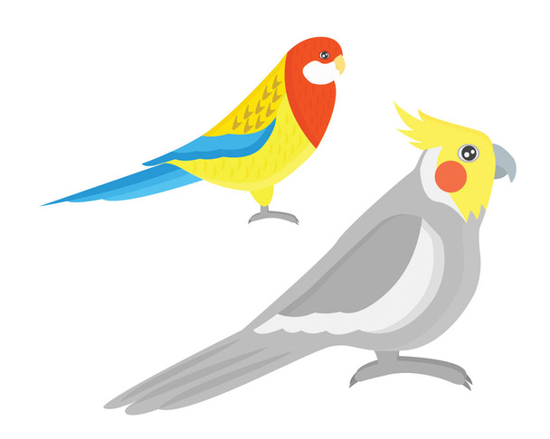 Καρτούν εικονογράφηση φορέα του παπαγάλου τροπικός άγριων ζώων πτηνών. - Διάνυσμα, εικόνα