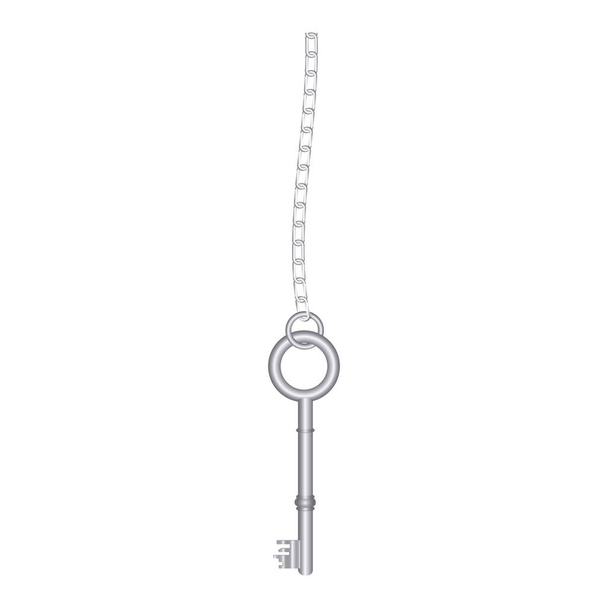 silberner alter Schlüsselanhänger - Vektor, Bild