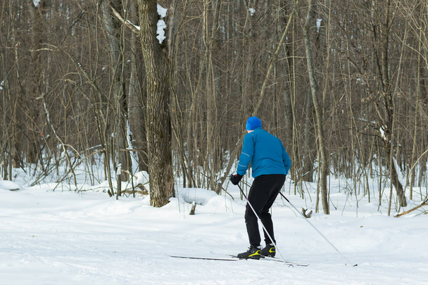L'homme au ski de fond dans la forêt d'hiver
. - Photo, image