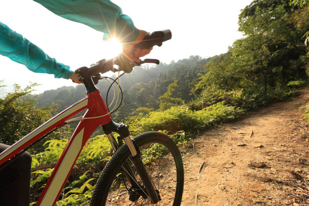 Молода жінка катається на гірському велосипеді
 - Фото, зображення