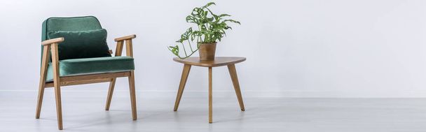 Chair and stool with plant - Фото, зображення