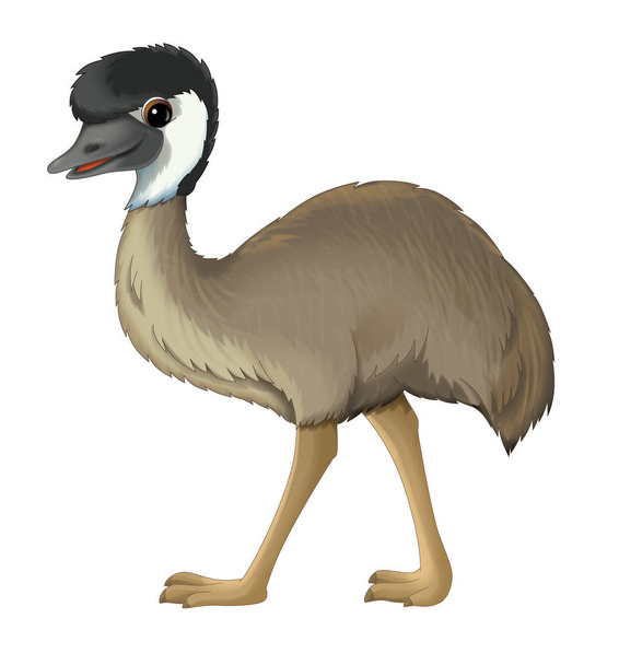 cartoon animal emu walking - Photo, image