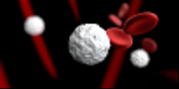 ホワイト 3 d イラスト、赤血球、白血球、感染症 - 写真・画像