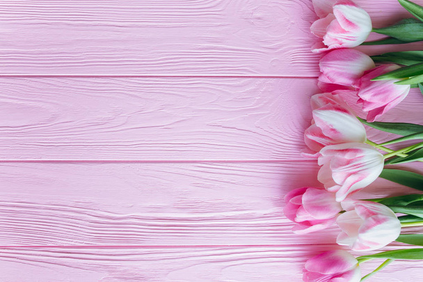 friss rózsaszín tulipánok  - Fotó, kép