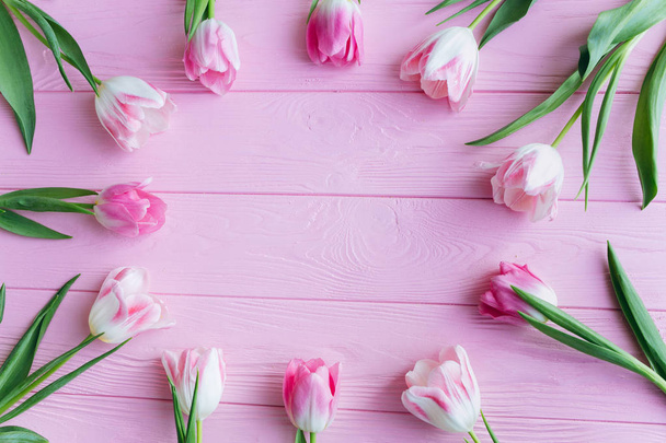Tulipani rosa freschi
  - Foto, immagini