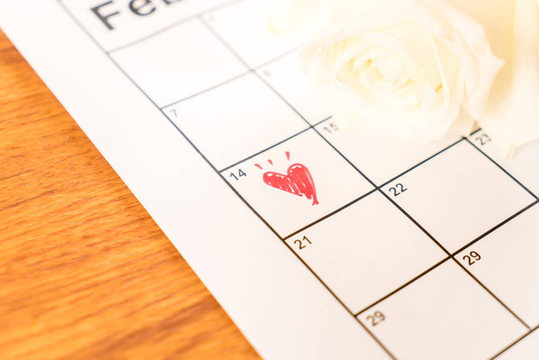 white rose on the calendar with the date of February 14 Valentin - Zdjęcie, obraz