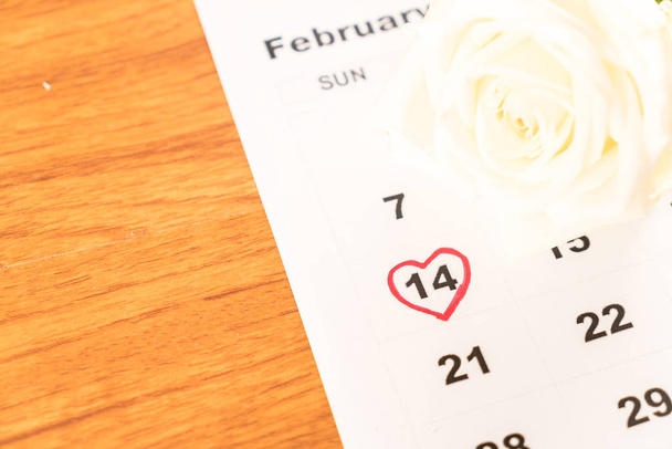white rose on the calendar with the date of February 14 Valentin - Fotografie, Obrázek