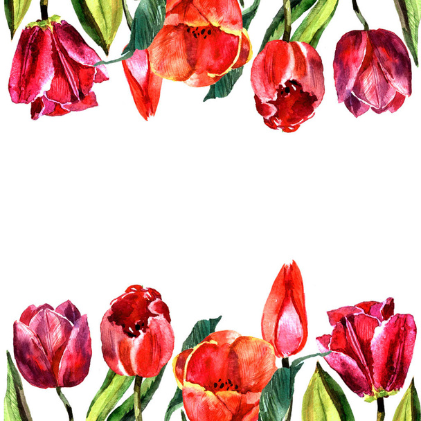 Wildflower tulip flower frame in a watercolor style isolated. - Fotoğraf, Görsel