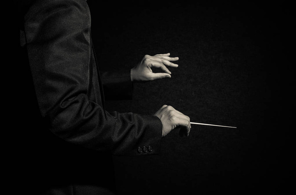 Orchestra conductor hands - Valokuva, kuva