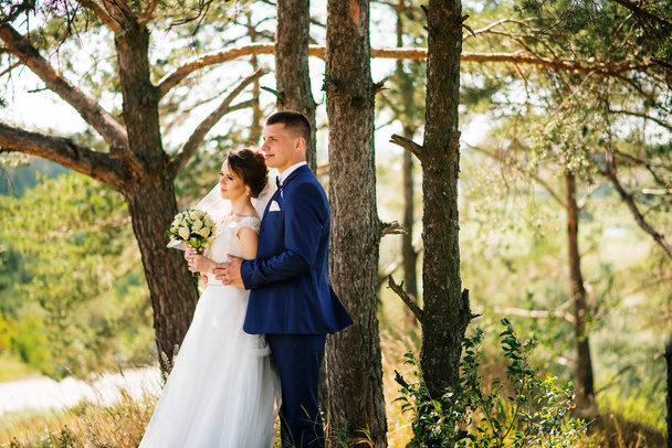 Loving young wedding couple in love at sunny forest. - Foto, immagini