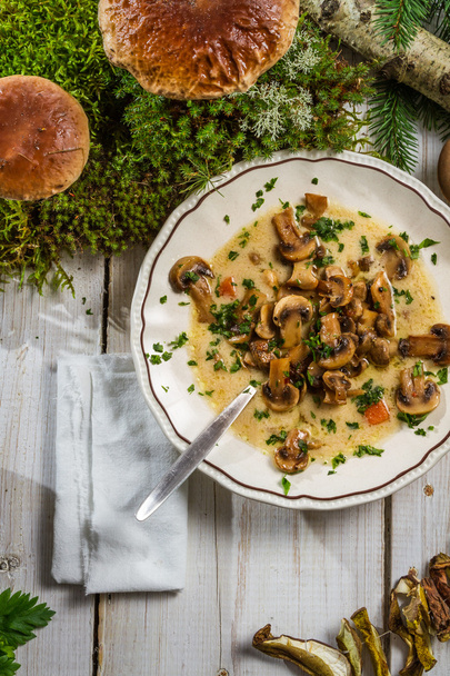 Soup with wild mushrooms in a natural environment - Fotografie, Obrázek