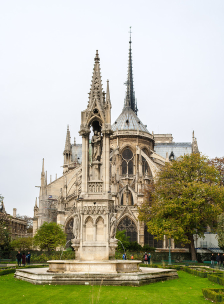 Notre Dame de Paris, vista desde la Plaza Jean-XXIII
 - Foto, Imagen