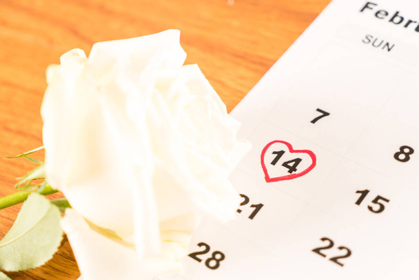 white rose on the calendar with the date of February 14 Valentin - Foto, Imagem