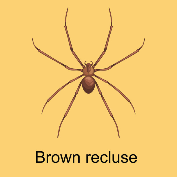 Spiders cartoon set, dangerous insects collection - Vecteur, image