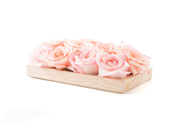 Coral rose on white - Zdjęcie, obraz