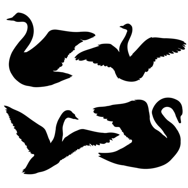  ilustración cisnes abstractos
 - Vector, Imagen