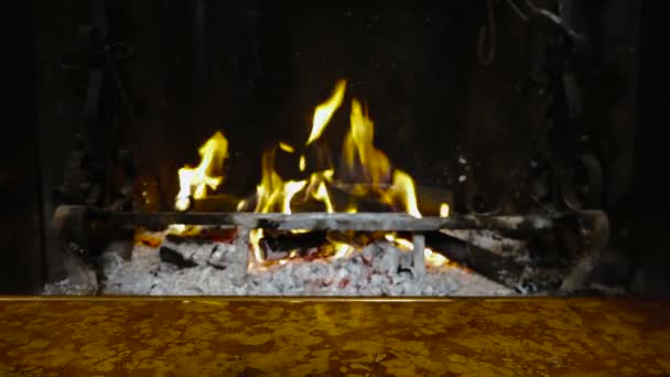 Woman hand putting cup fireplace warming winter holiday relaxing - Footage, Video