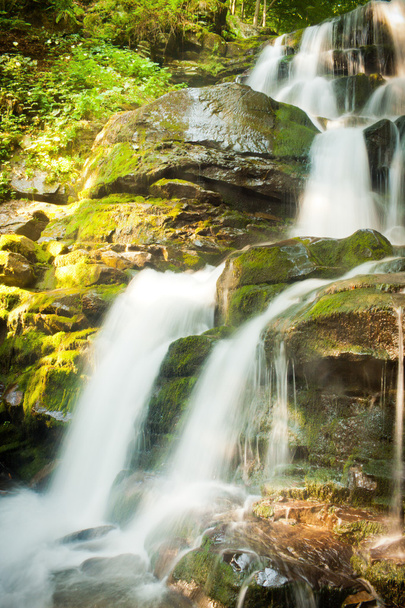 Cachoeira profunda da floresta nos Cárpatos
 - Foto, Imagem
