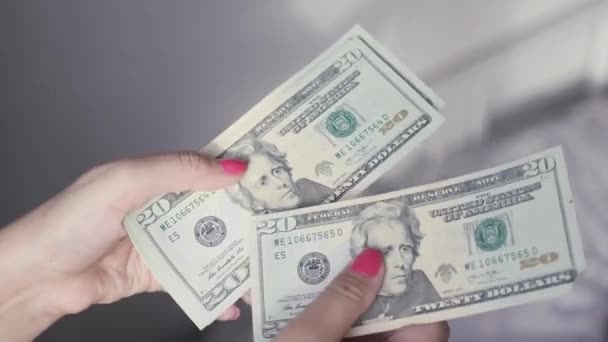 beautiful new green dollars in the hands of women, of which it makes a fan, 4k, 3840x2160 - Felvétel, videó