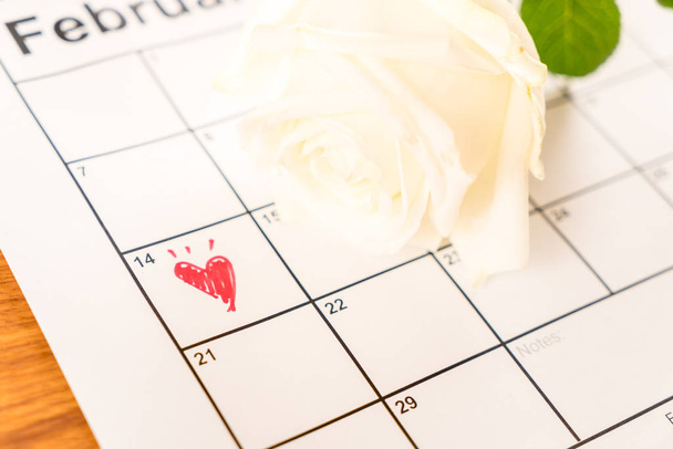 weiße Rose auf dem Kalender mit dem Datum 14. Februar valentin - Foto, Bild