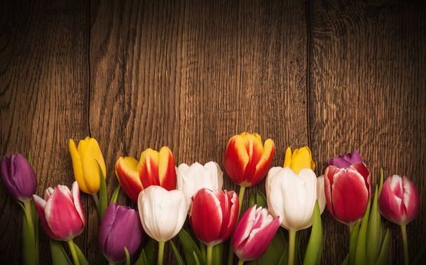 Spring tulips on wooden background - Foto, immagini
