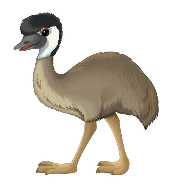 cartoon animal emu walking - Fotó, kép